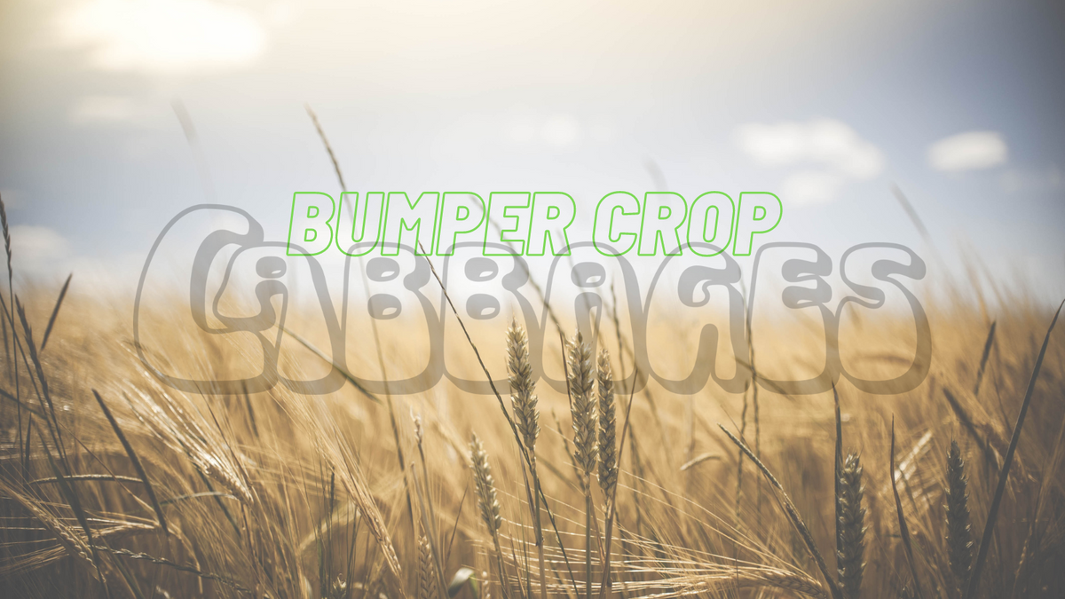 Bumper Crop: REASON On 9th Wonder & Baby Tate