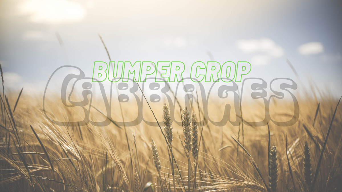 Bumper Crop: Lunice