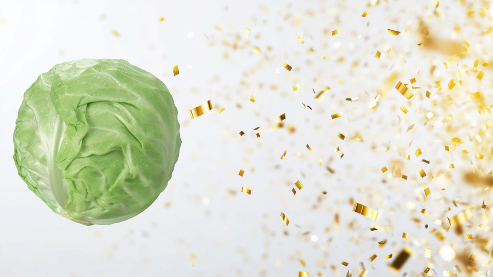 The Best Hip-Hop/Rap Albums Of 2025